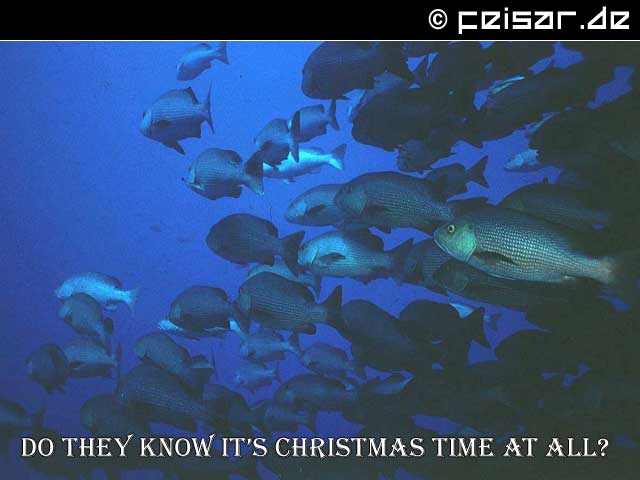 Do they know it's Christmas Time At All?